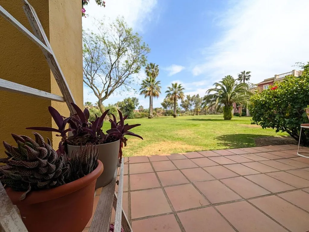 garden