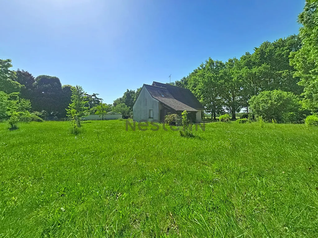 Aed - Reconstruction-Ready Plot in Saint-Cyr-sur-Loire