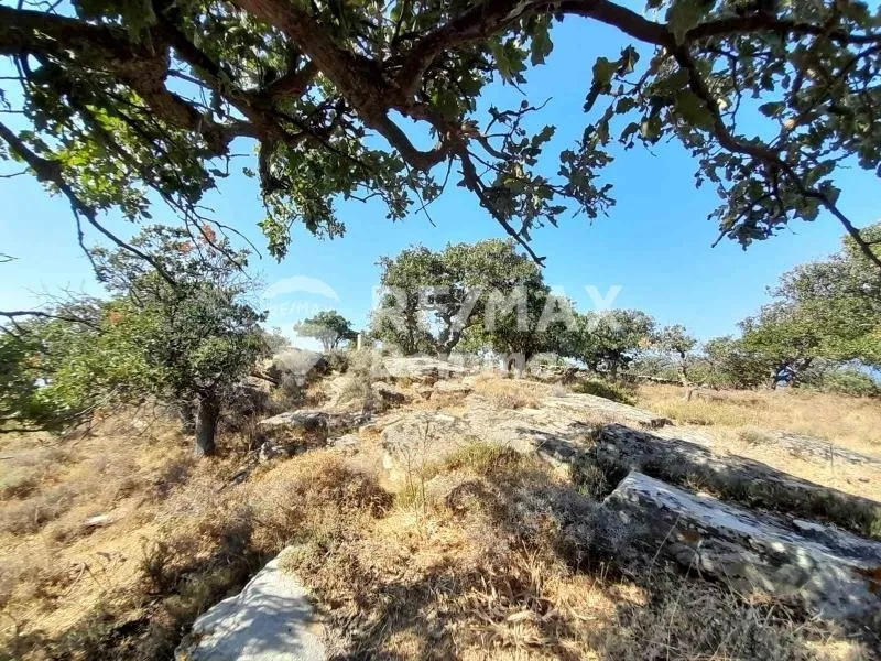 Jardin - Farmhouse with Sea View in Perama