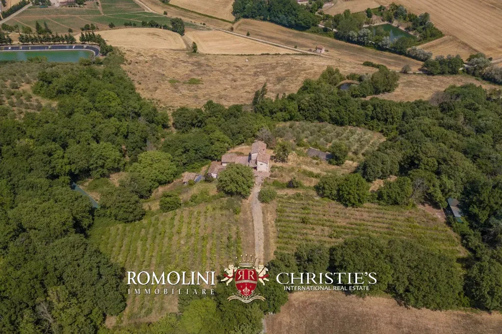 Õhuvaade - Estate with Vineyard in Anghiari, Tuscany