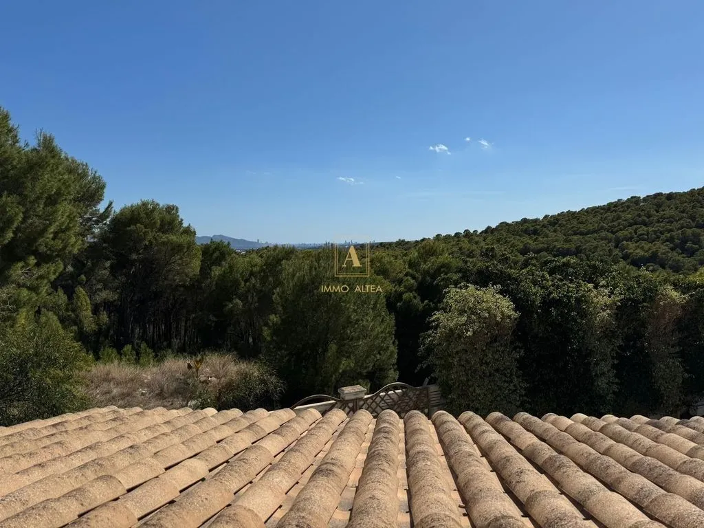 Terrass - Luxury Villa with Private Spa in Altea