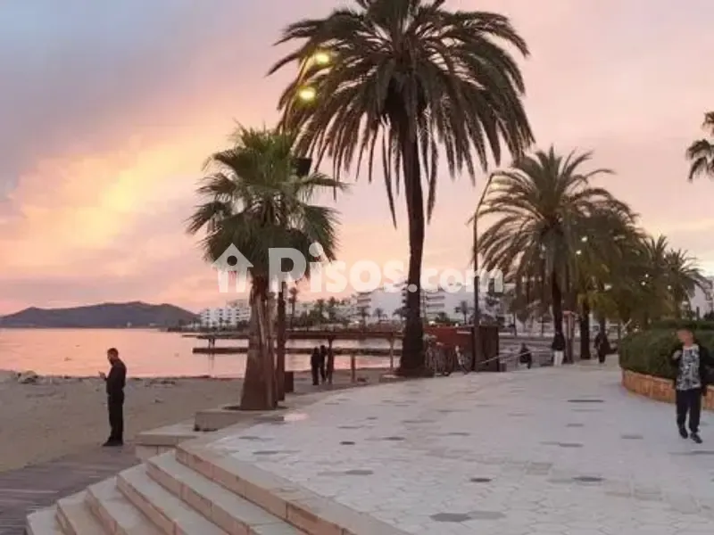 Modern Apartment with Sea View in Platja d'En Bossa