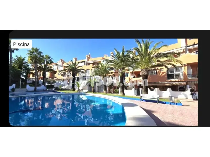 Bassein - Furnished Apartment with Terrace in Torrevieja