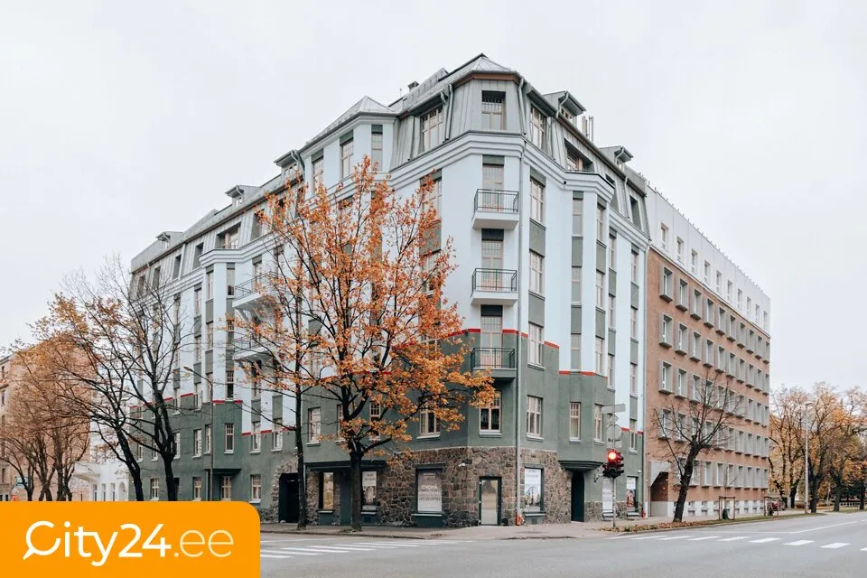 Välivaade - Furnished Studio in Art Nouveau Building, Riga Centre