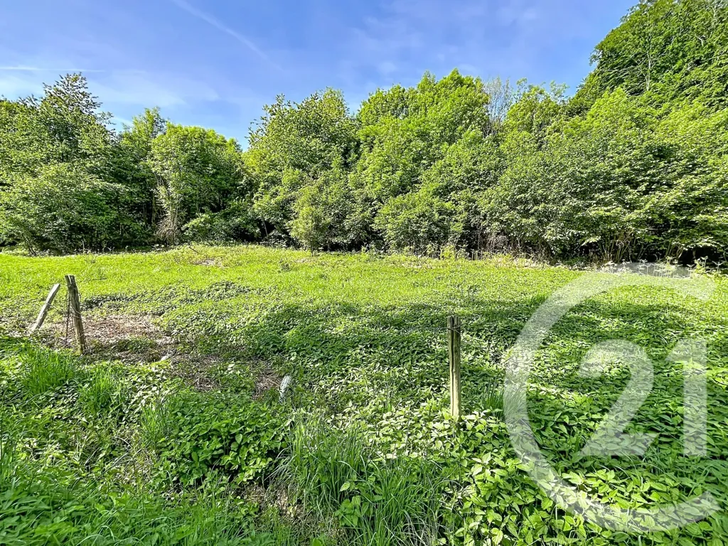 Jardin - Terrain Constructible avec Vue sur Nature à Retournac