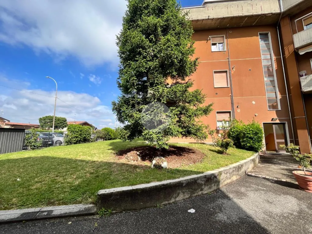 Jardin - Spacious 2-Bedroom Flat with Balcony in Erbusco