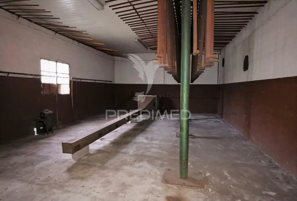 Garaaž - Industrial Warehouse with Solar Exposure in Vila Moreira