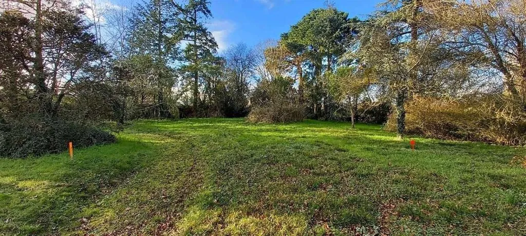 Jardin - Terrain Constructible dans un Cadre Calme à Ancenis