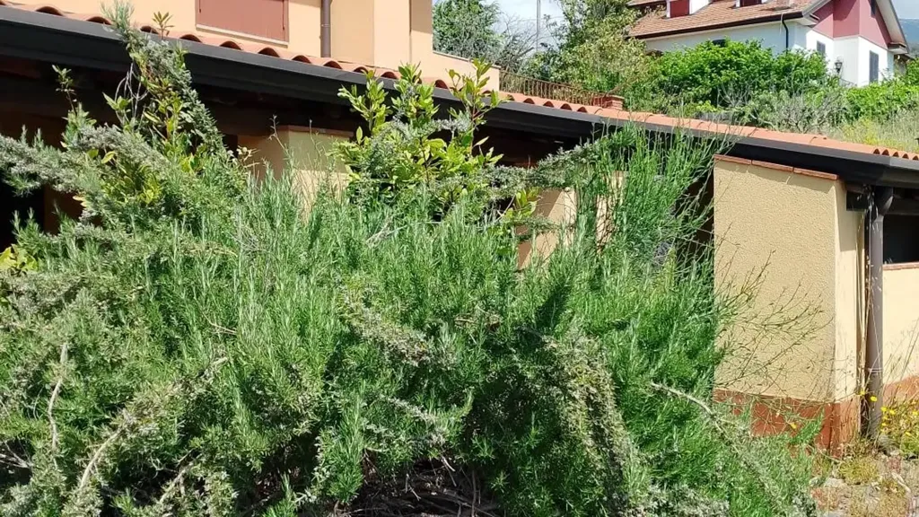 Esterno - Rustic Villa with Fruit Garden in Pedara
