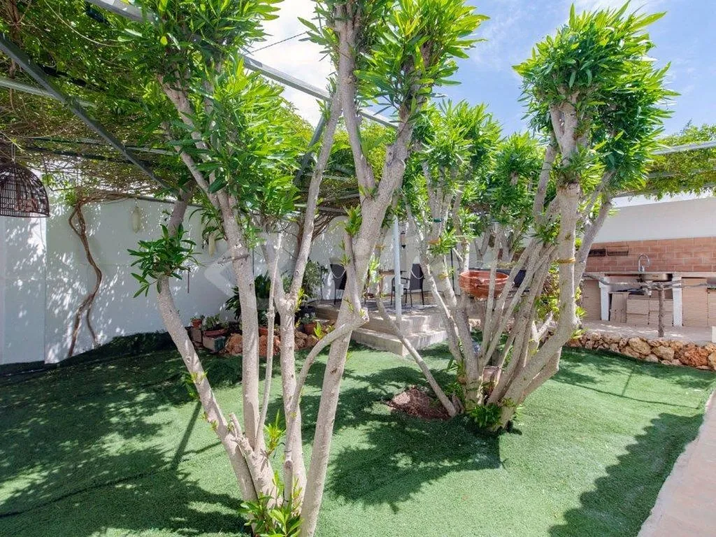 Jardin - Chalet with Pool in Cala en Porter, Alaior