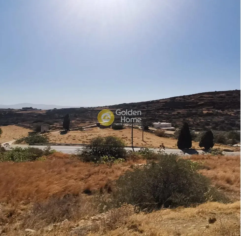 Jardin - Agritourism Plot with Olive Trees in Lefkes