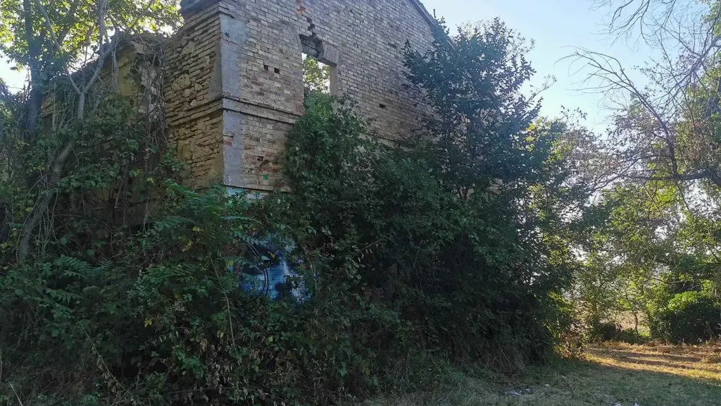 Extérieur - Rustic Farmhouse with Sea View in Civitanova Alta