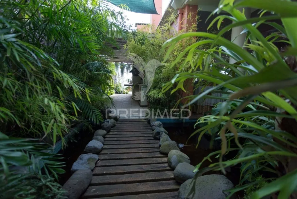 Aed - Luxury Villa with City View in Funchal