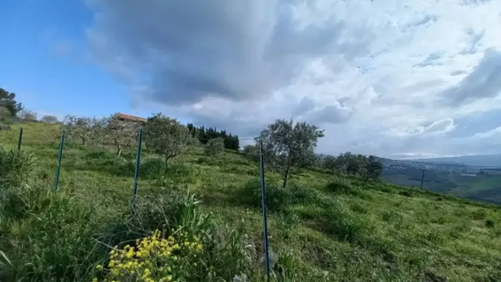 Aed - Detached House with Private Garden in Atessa