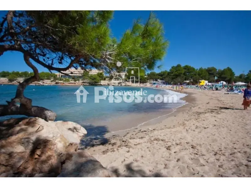 Rustic Finca with Pool in Cala Bou
