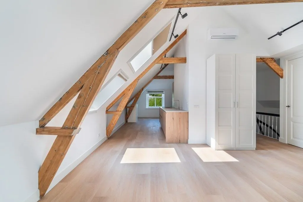 Toad - Renovated Loft in Zeeheldenkwartier, The Hague