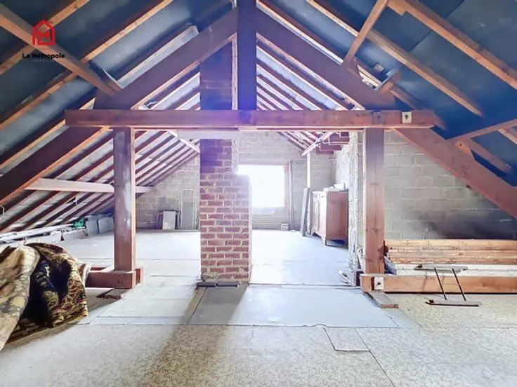 Toad - Three-Faced House with Garden and Garage