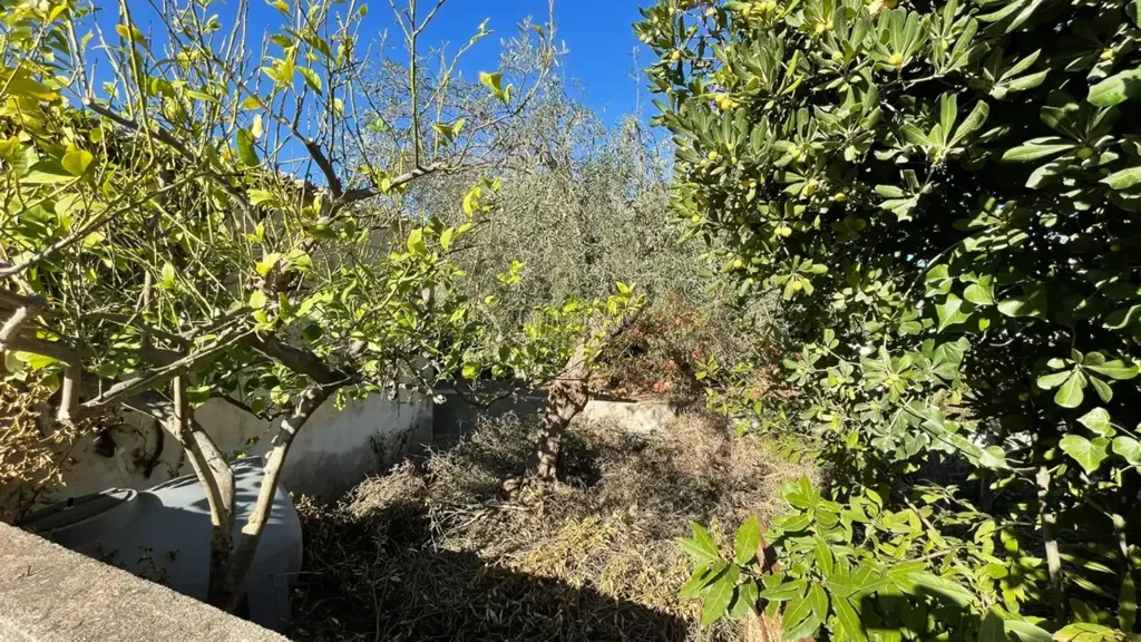 Jardin - Rustic Villa with Garden in Modica