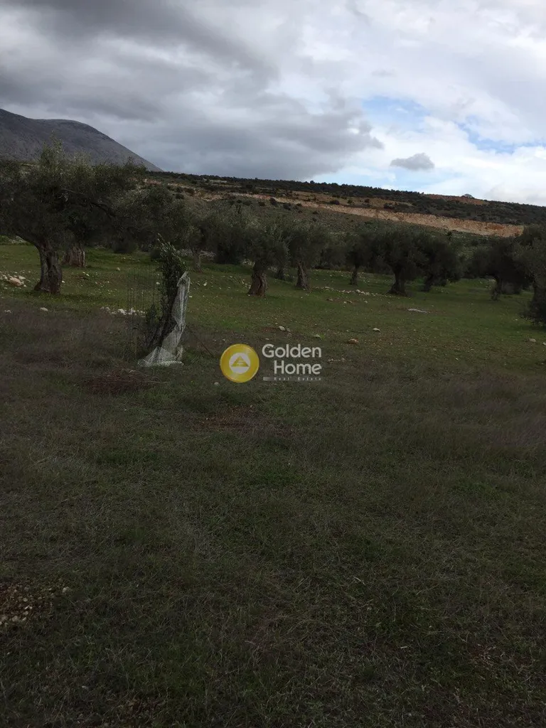 Jardin - Agricultural Plot with Mountain View in Thebes Centre