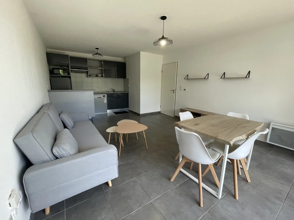 Living Room - Furnished Flat with Garden in Colomiers