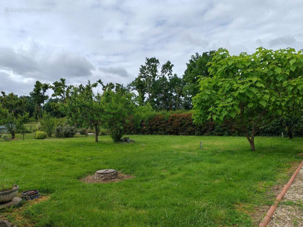 Jardin - Maison T4 au Calme avec Jardin à Montauban
