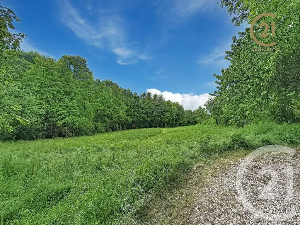 Jardin - Maison Ancienne Ferme avec Grand Terrain à Thurins