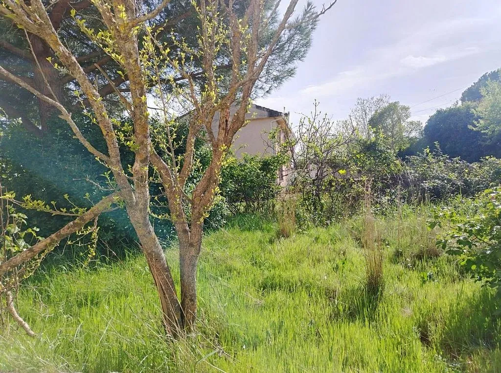 land_plot