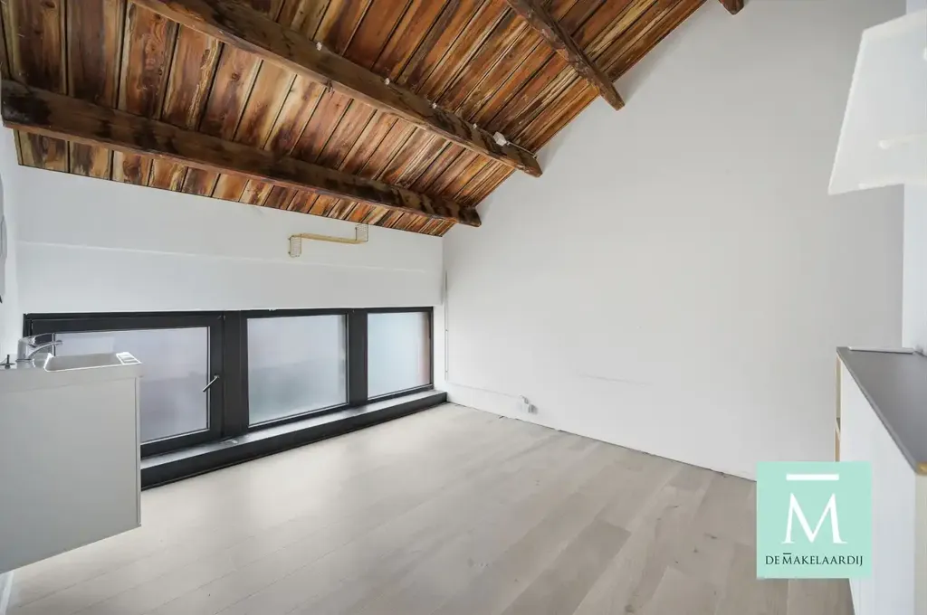 Toad - Various Units for Rent in Vibrant Vleeshalle