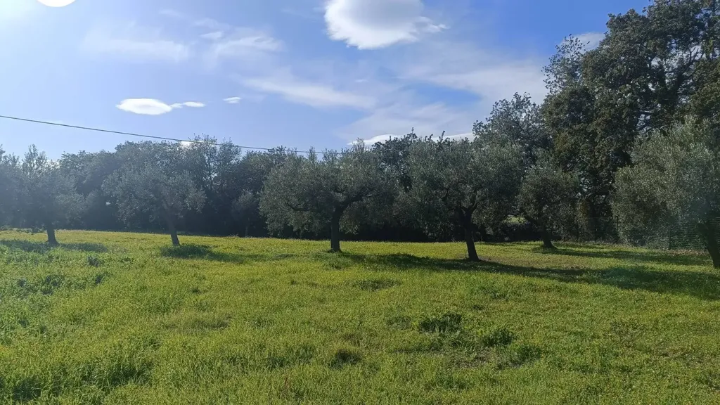Aed - Villa with Panoramic View in Vasto