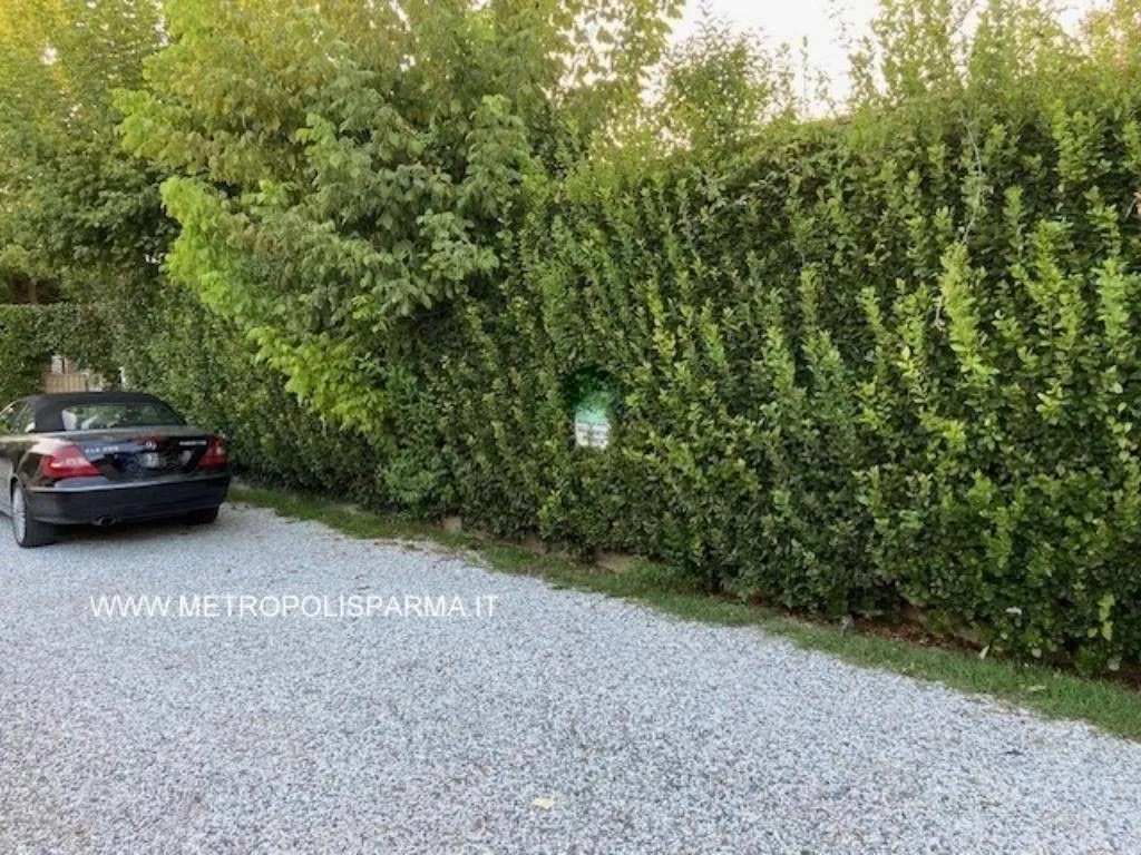 Exterior - Luxury Villa with Garden in Forte dei Marmi