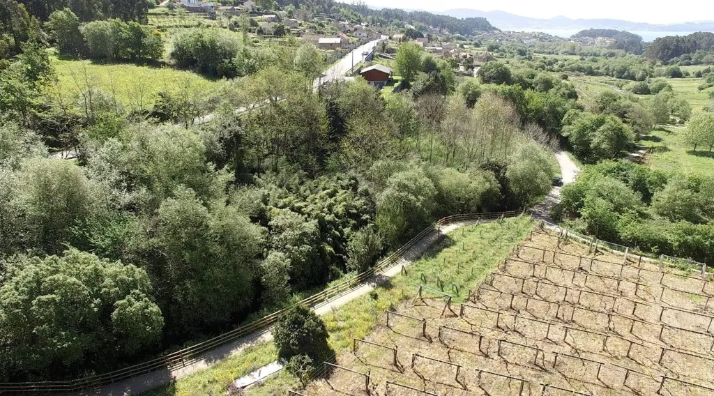 Vue aérienne - Buildable Plot with Sea Views in Barreiro, Pontevedra