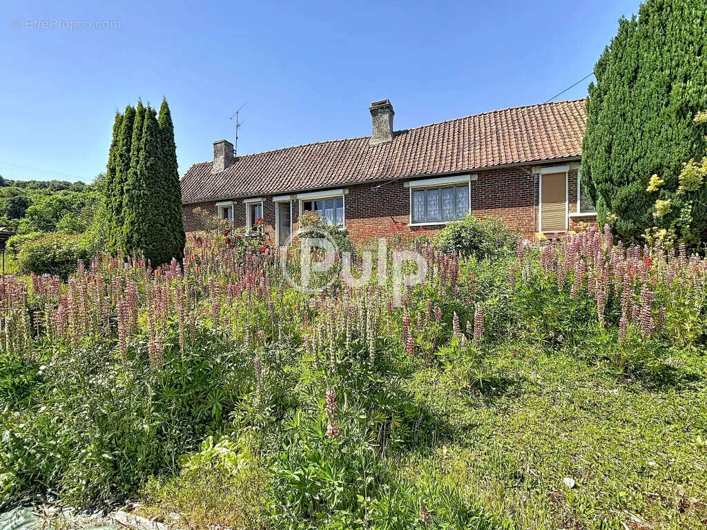 Välivaade - Farmhouse with Barns on 8,600m² in Countryside