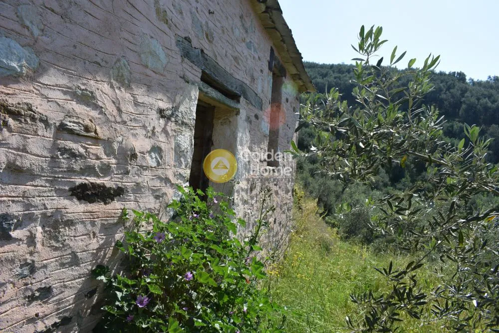 Extérieur - Traditional Olive Grove with Panoramic Views in Pelion