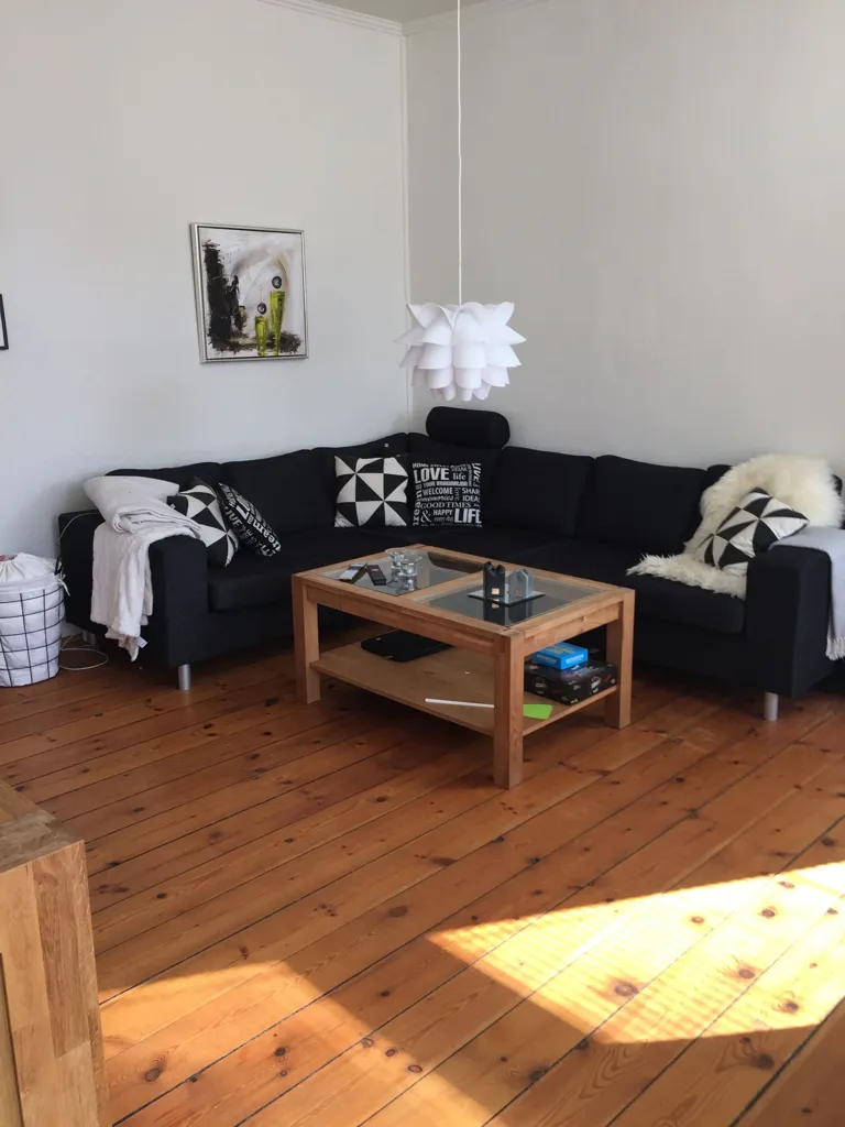 Séjour - Bright Apartment with Balcony in Aabenraa