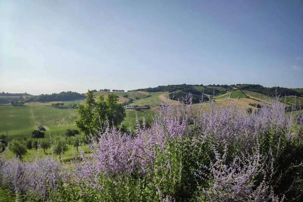 Jardin - Modern Villa with Pool and Spa near Parma