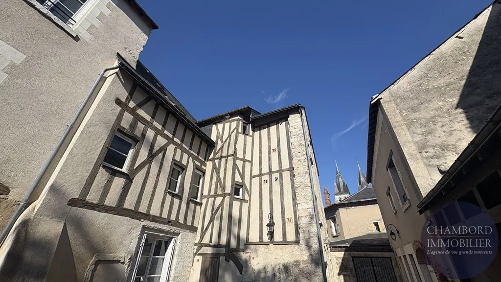 Jardin - Appartement à Deux Pas du Centre à Blois
