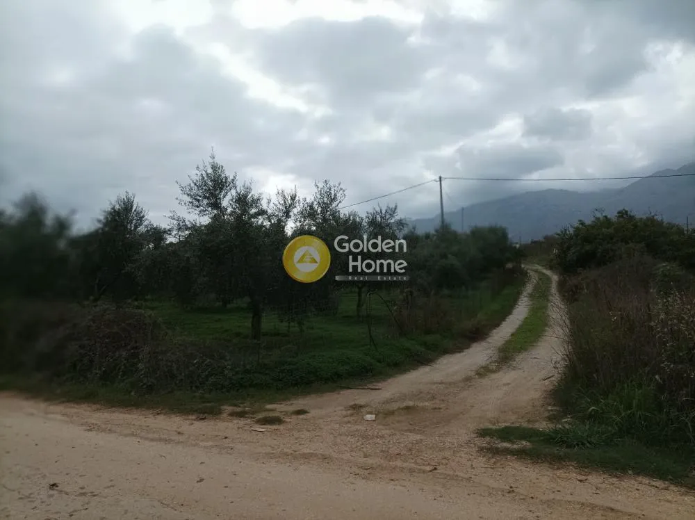 Aed - Buildable Plot with Sea View in Aprovouna, Chania