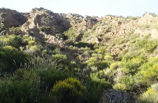 Jardin - Terrain à Nevada