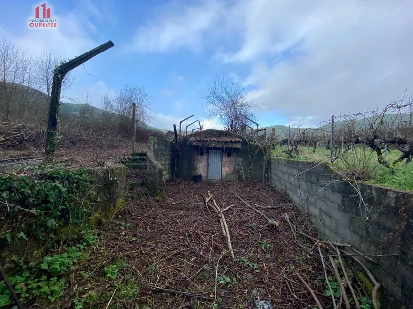 Jardin - Rustic Finca with River Views near Ribadavia