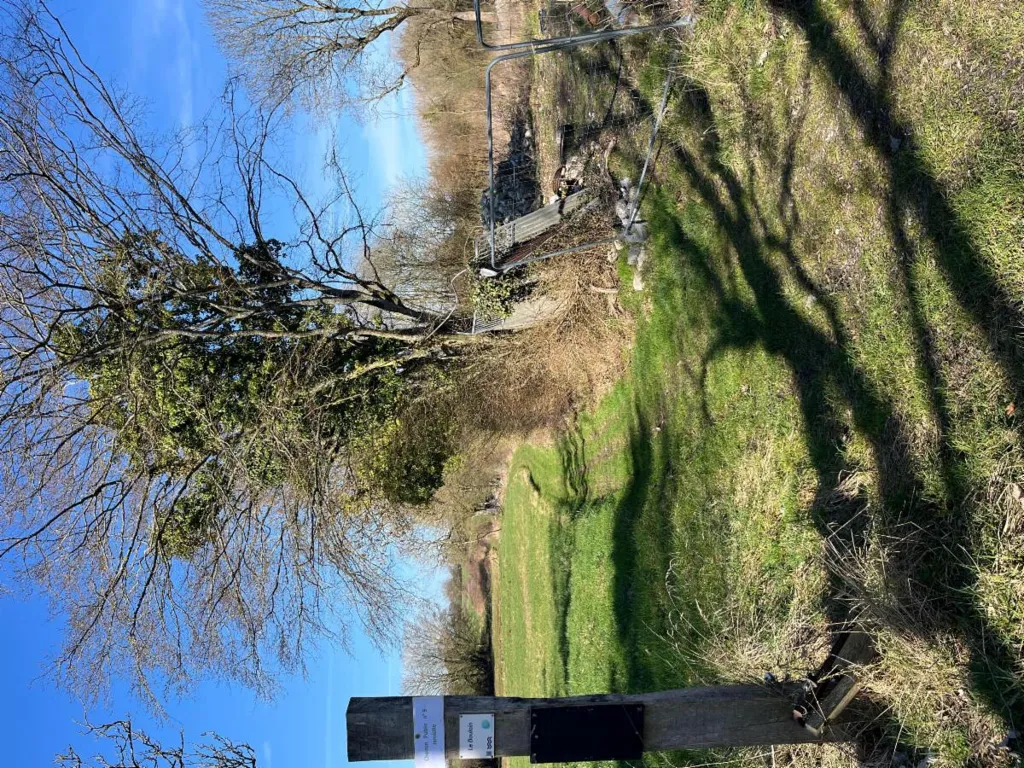 Garden - Buildable Land with Pastures near Eau d'Heure