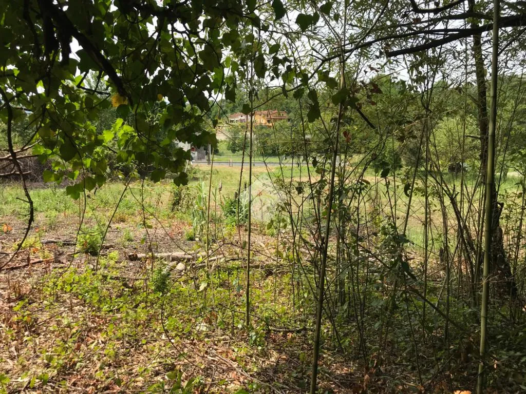Jardin - Independent House with Private Garden in Cervaro