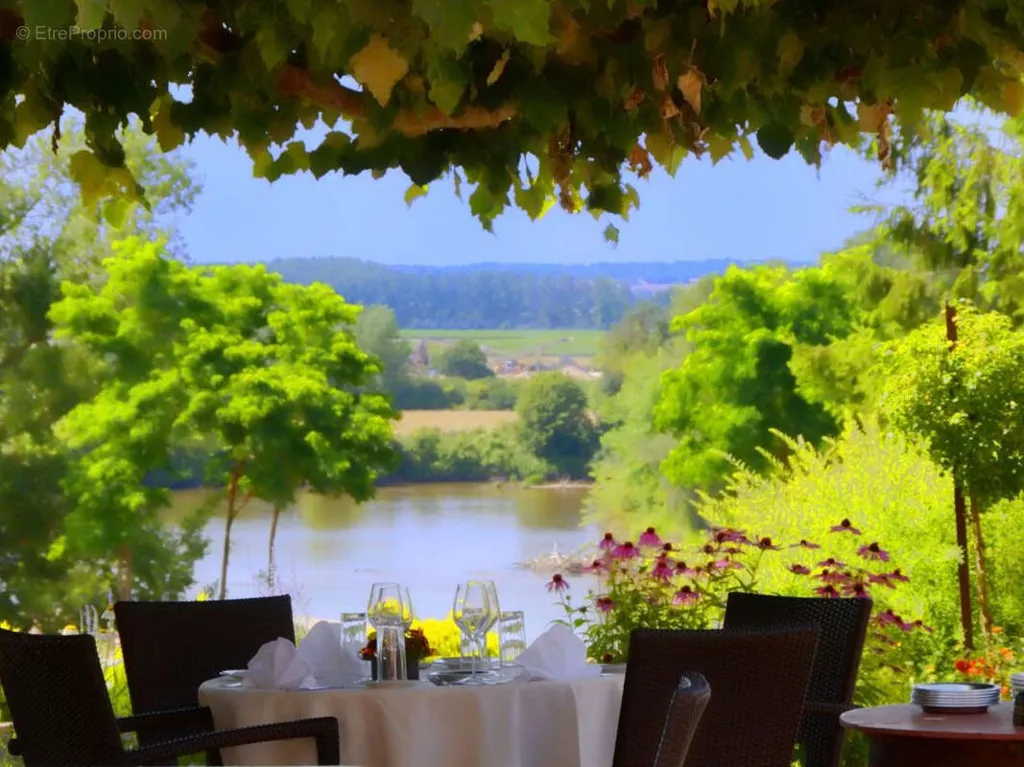 Terrasse - Hôtel-Restaurant avec Vue sur la Loire
