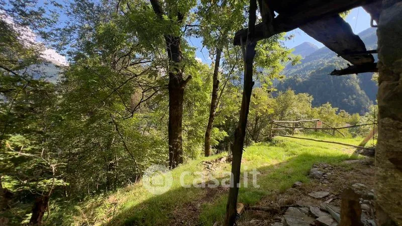 Garden - Rustic Cottage with Garden in Pedesina
