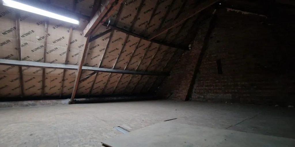 Toad - Renovatable House with Garden in Waasmunster