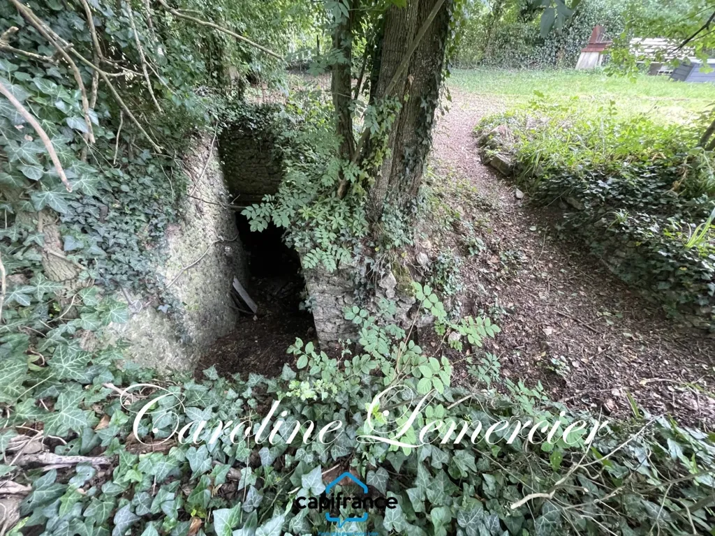 Garden - Farmhouse with Caves near Connerre