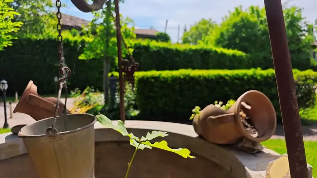 Garden - Villa with Pool and Garden in Correggio