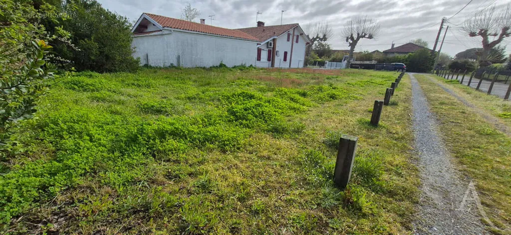 Giardino - Buildable Plot with Pool Potential in Soustons