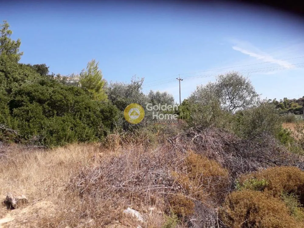 Aed - Agricultural Plot with View in Spata