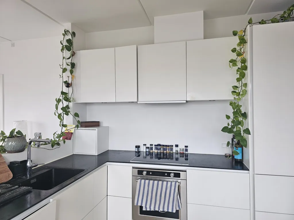 Cuisine - Furnished Apartment with Park View in Valby