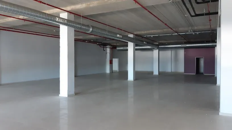 Industrial Warehouse in Vigo's PTL